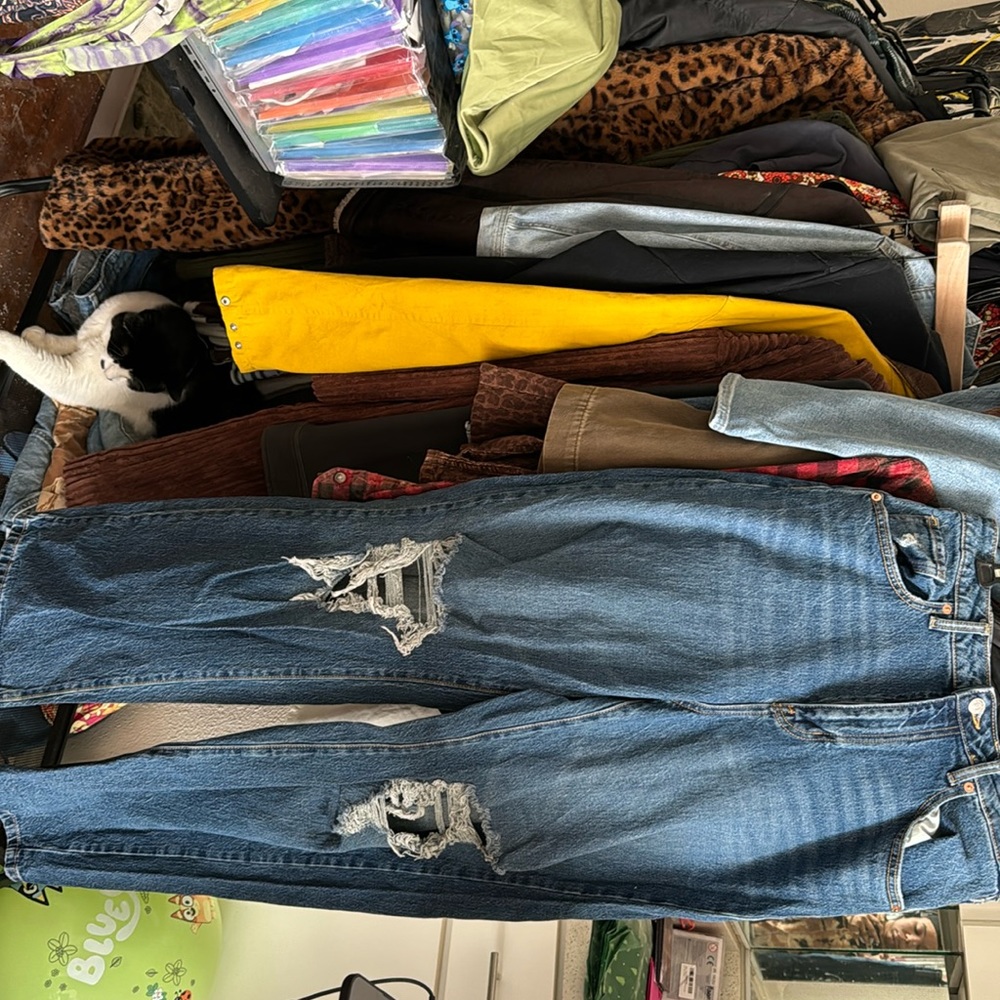 Wild Fable Jeans